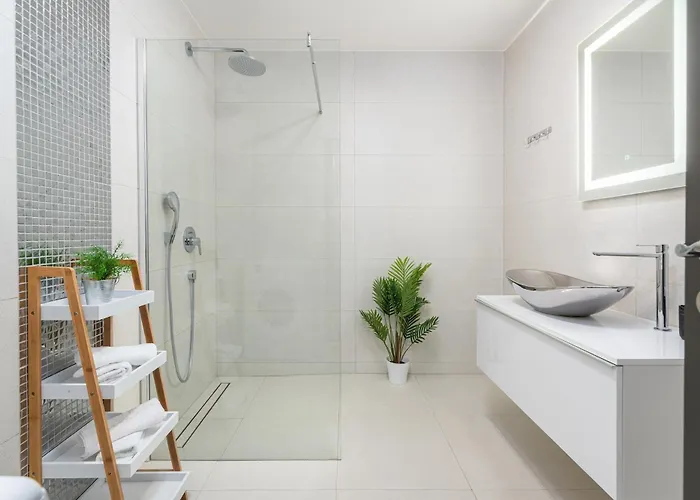 别墅 Complex Twins 茨里克韦尼察